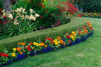 Gardens and landscaping