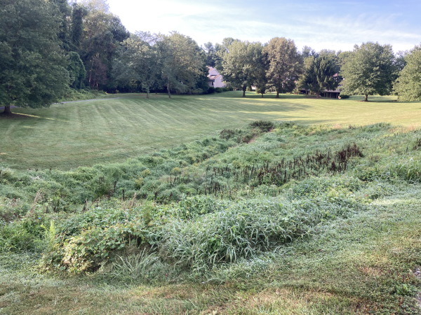 Landscaping in Hockessin Delaware