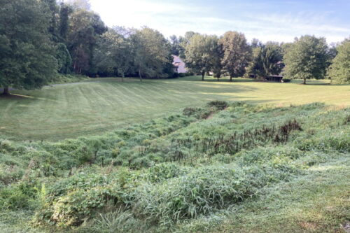 Landscaping in Newark, Delaware